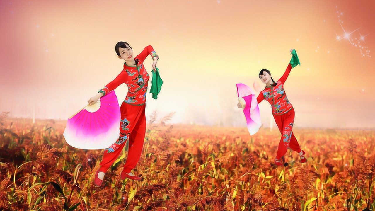 糖豆广场舞课堂九儿经典双人扇子秧歌舞