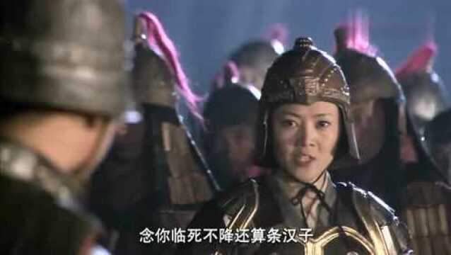 薛丁山:敌将小看女将陈金定,结果陈金定双锤一出,败杀强敌