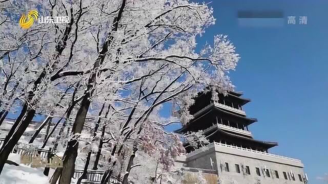 这就是山东!银装素裹 美轮美奂 雪后蒙山美得不可方物