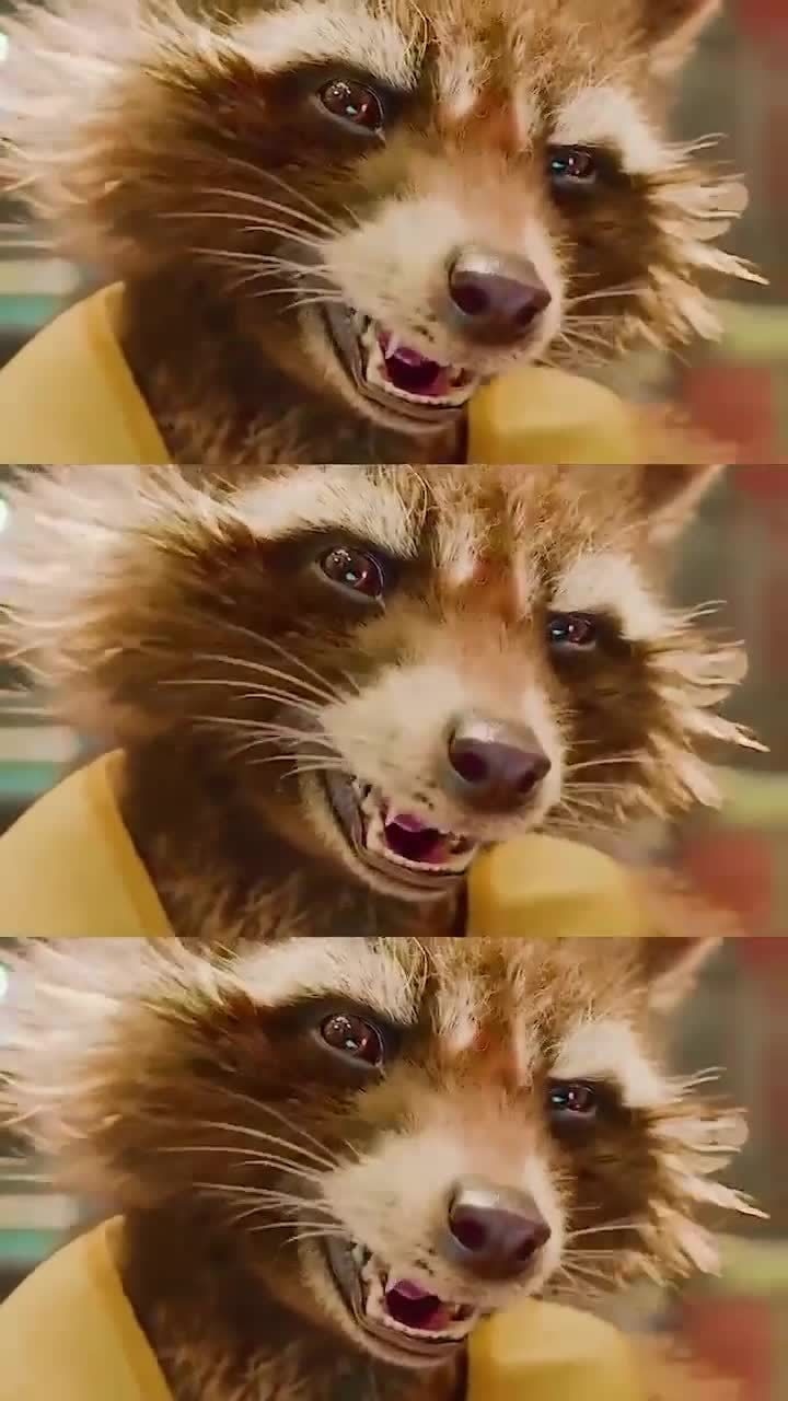 银河护卫队里的嘴炮小浣熊,认真起来的样子还挺帅气的呢!