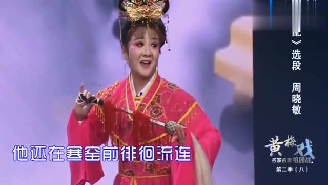 黄梅戏《天仙配》选段,周晓敏演唱,越听越喜欢!