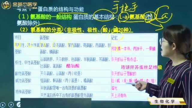 临床执业医师核心考点01之生物化学01蛋白质的结构与功能