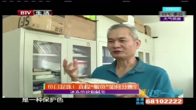 鱼目混珠!真假“鲅鱼”如何分辨?!