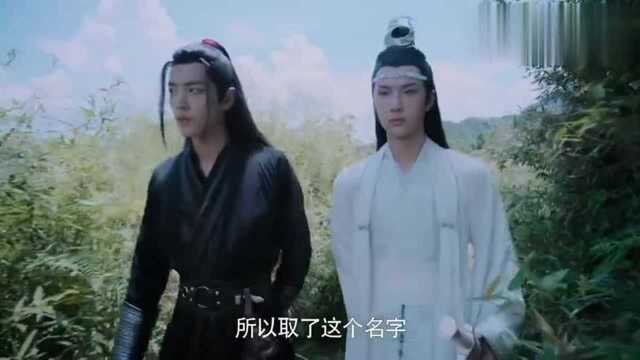 陈情令:蓝湛魏无羡按刀灵指引来到义庄,听闻这里人很多都是横死