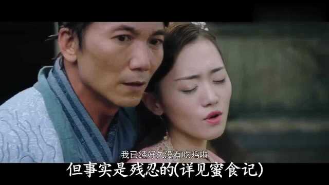 美女解说大梦西游:5分钟让你了解剧情,来看看这部奇幻神剧吧!