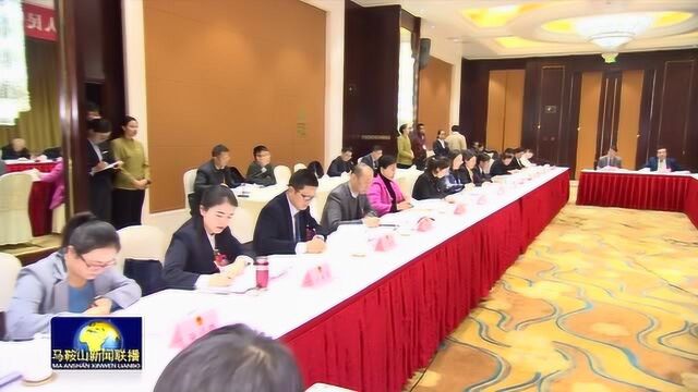 王金山沈素琍参加马鞍山代表团审议《省政府工作报告》