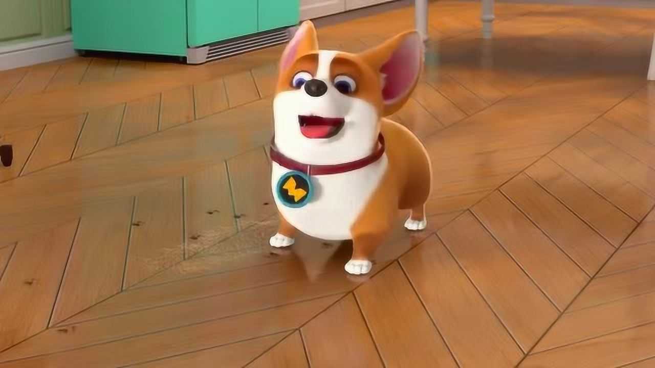 飞狗moco;你的口水太恶心了,不能舔主人的地板!