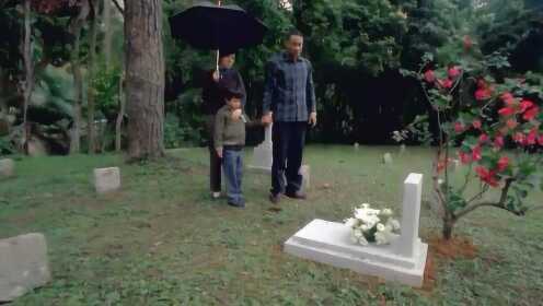 儿子患血癌去世，老爸在墓前种了一棵树，说可以给他遮阴