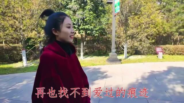 苏娅深情翻唱《来生再去拥抱你》歌声浓情蜜意,感人肺腑