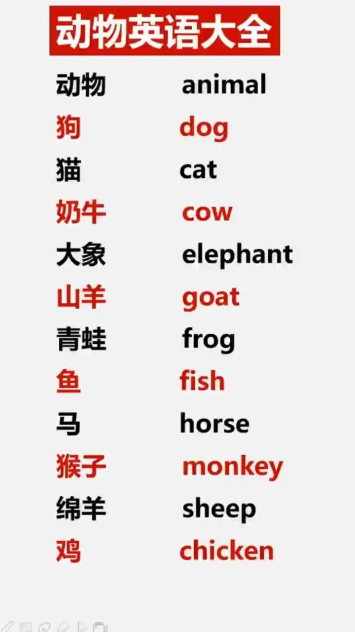 动物英文读法大全.