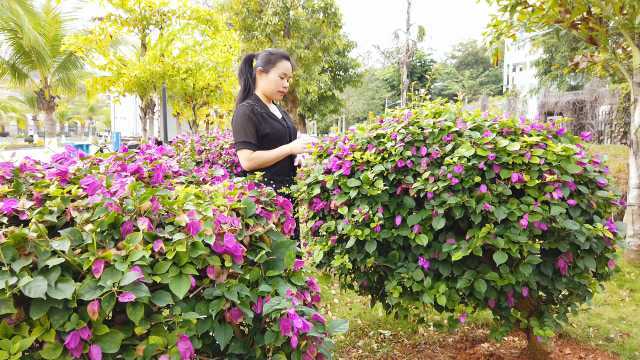 一首新歌《你的世界我来过》歌声唱得深情感人,曲调欢快好听!