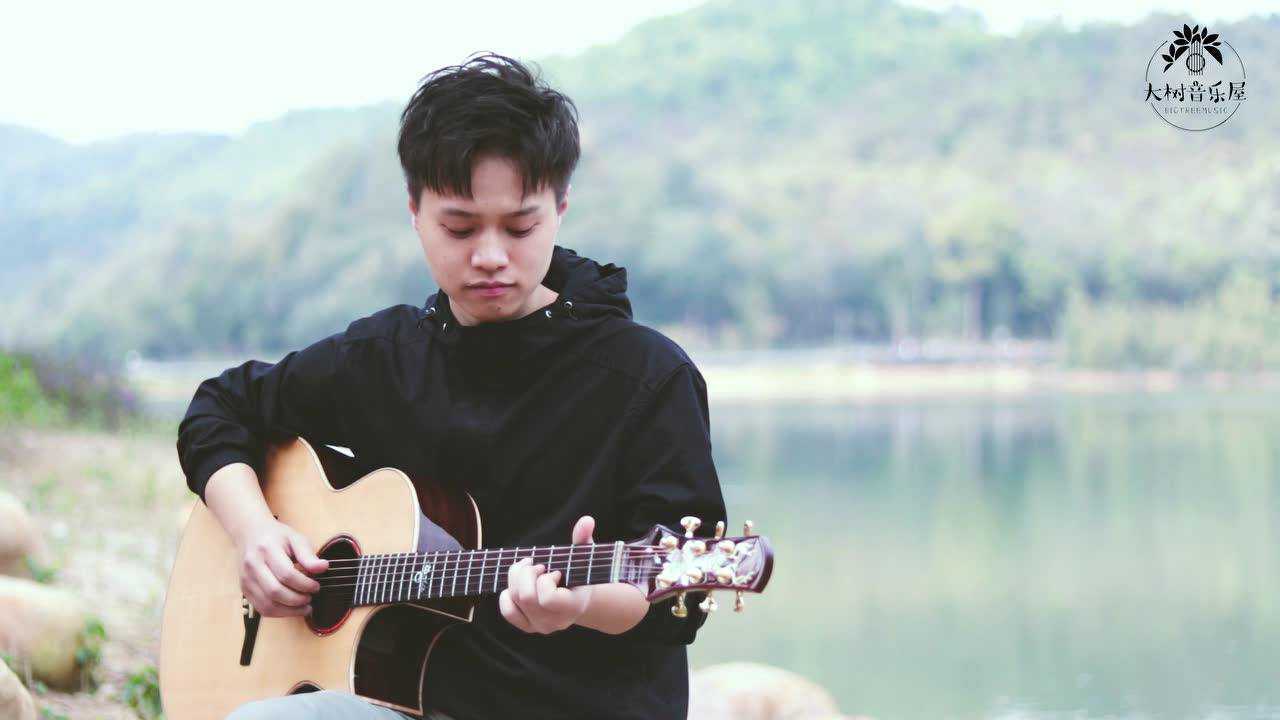 《sunflower》太阳花-吉他指弹演示 cover孙培博-大树音乐屋