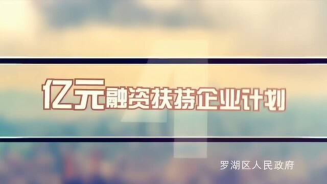 @罗湖企业 真金白银超5亿元补贴+真情实意5个专项服务