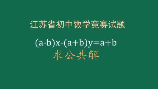 二元一次方程的公共解怎么确定?