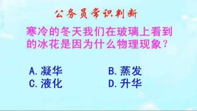 公务员常识判断,寒冷的冬天,我们在玻璃上为什么会看到的冰花呢