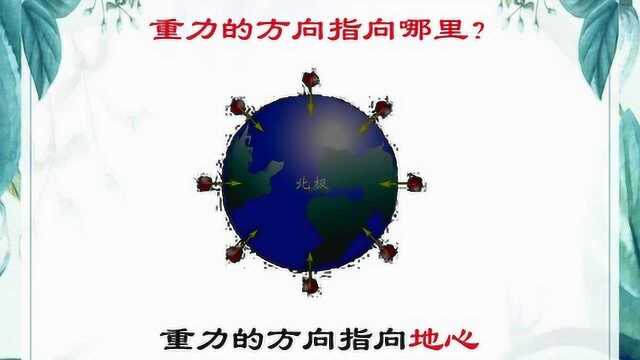 苏科版物理八年级下册8.2重力 力的示意图