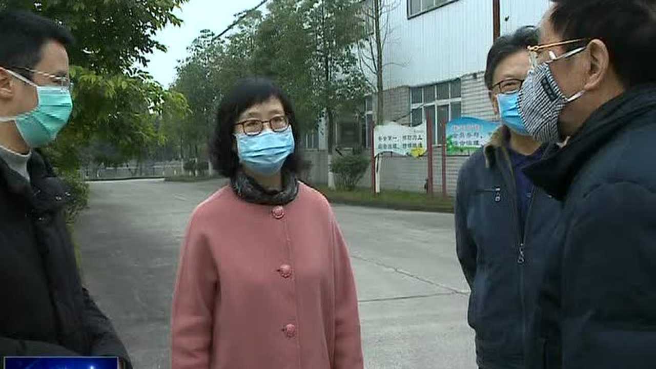 甘丽到我区督导检查疫情防控和复工复产工作