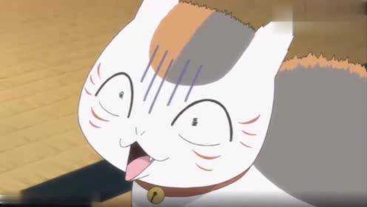 经典日漫推荐猫老师的系列表情包