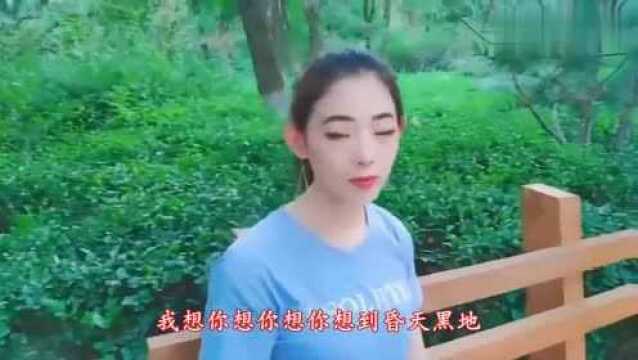 影视主题曲盘点《伤不起》歌词平民时尚,温婉动听