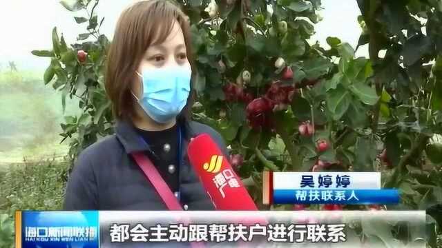 石山镇:抗疫助农两不误 农产品直销小区