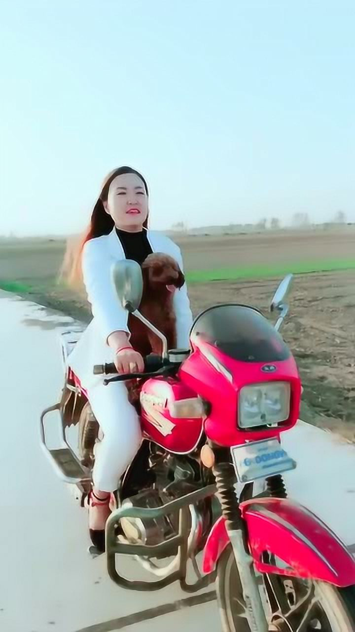 农村大姐骑着摩托唱歌,带个泰迪是什么意思?搞不懂!