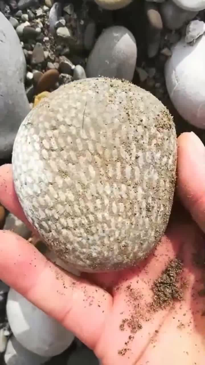 好奇怪的石头密集恐惧症的我有点受不了先放着吧