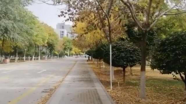 宁夏大学复核可查试卷复印件:数据暂不能公开,得等国家线