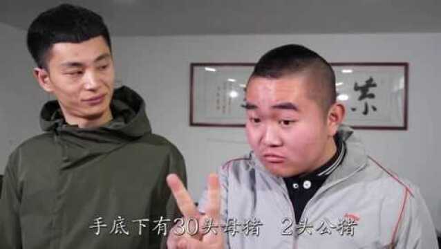 爆笑三江锅:公司招聘经理,为什么阿暴一招致胜,值得一看