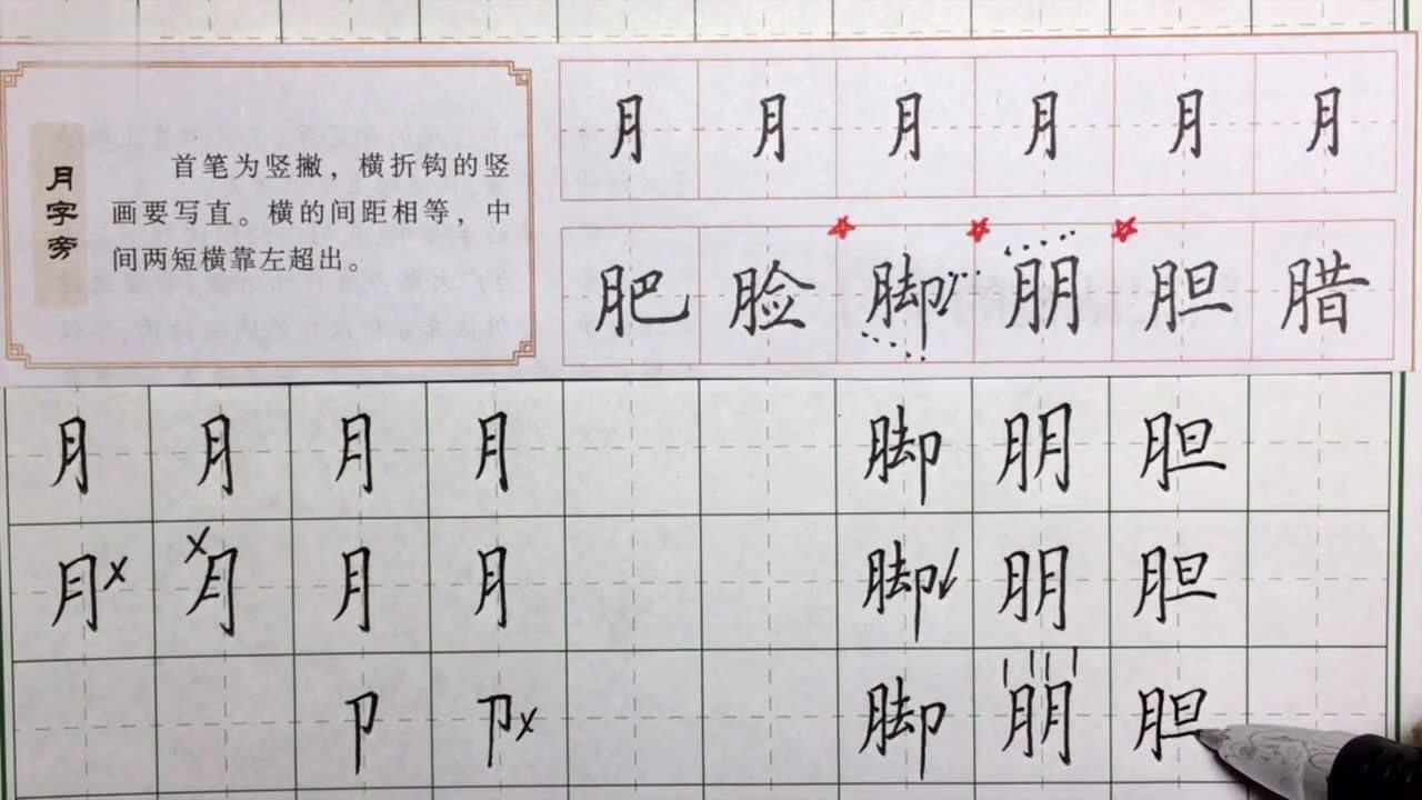 月字旁的书写方法