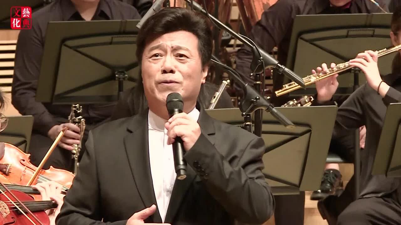 贾双飞-《再见了大别山》