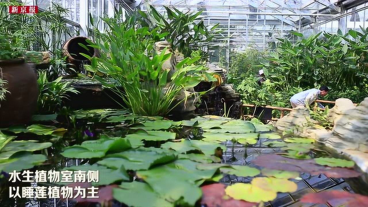 北京植物园温室展馆图片