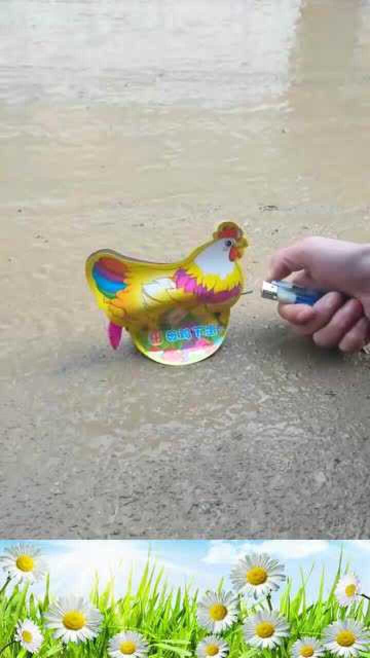 烟花爆竹版的母鸡下蛋网友买不到了你这个是绝版的