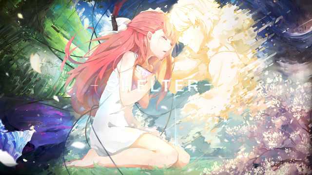 shelter(看点)