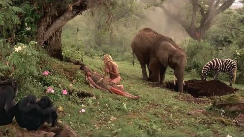 老森林女王死后，动物们跑来给她举办葬礼，一部奇幻动物电影