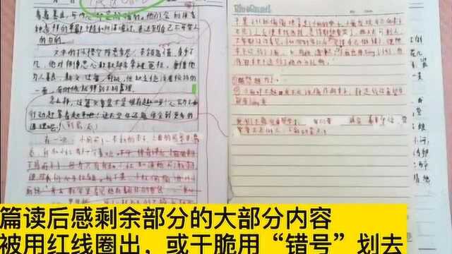 常州小学生作文课后坠亡,涉事老师:修改符号是学生自己划的……