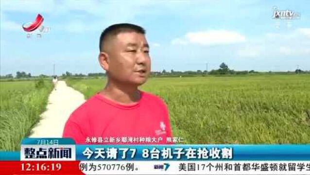 【行动起来 防汛抗洪】永修:抓住晴好天气 抢收抢烘千余亩水稻