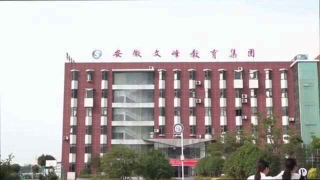 安徽文峰教育集团合肥艺术中学欢迎您