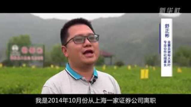 【四季的味道IV】六安瓜片:人间至味浴“老火”