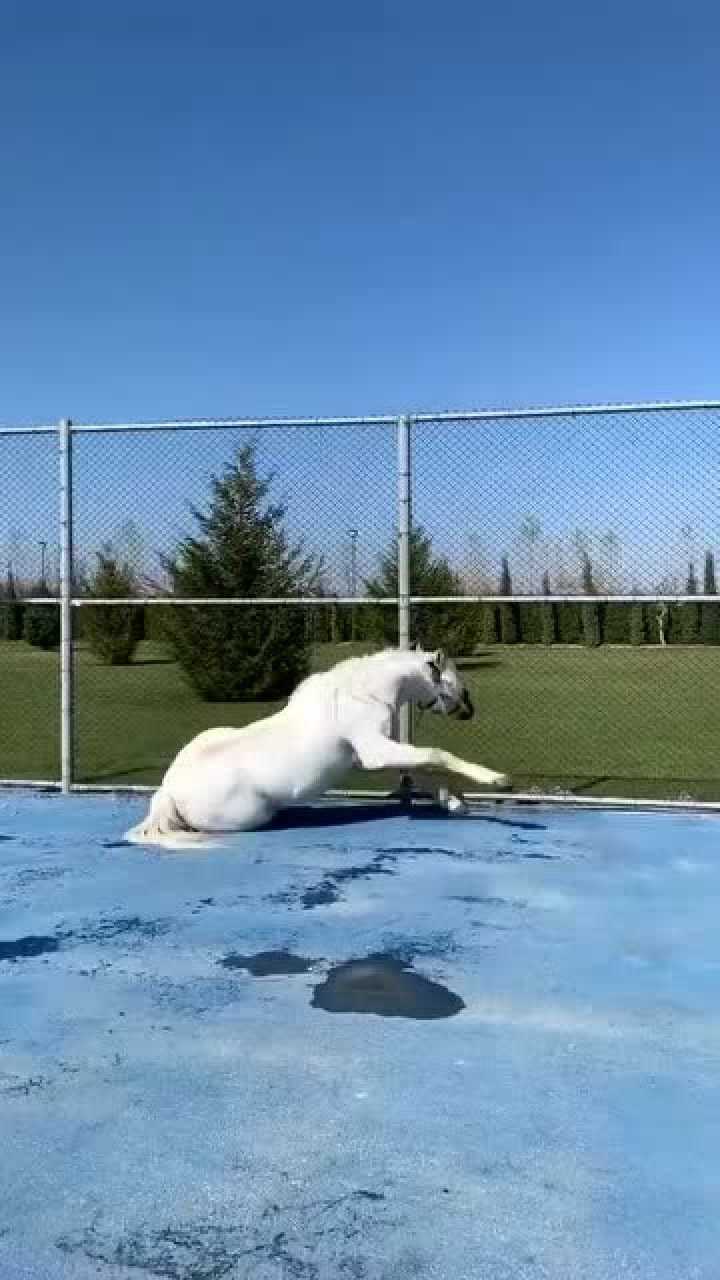 搞笑真正的马刹拉地隔着屏幕都感觉到疼