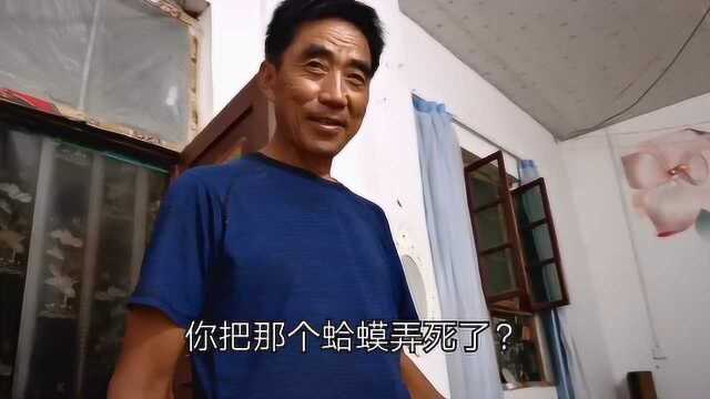 知道什么是长虫吗?你们那里的方言把它叫做什么?