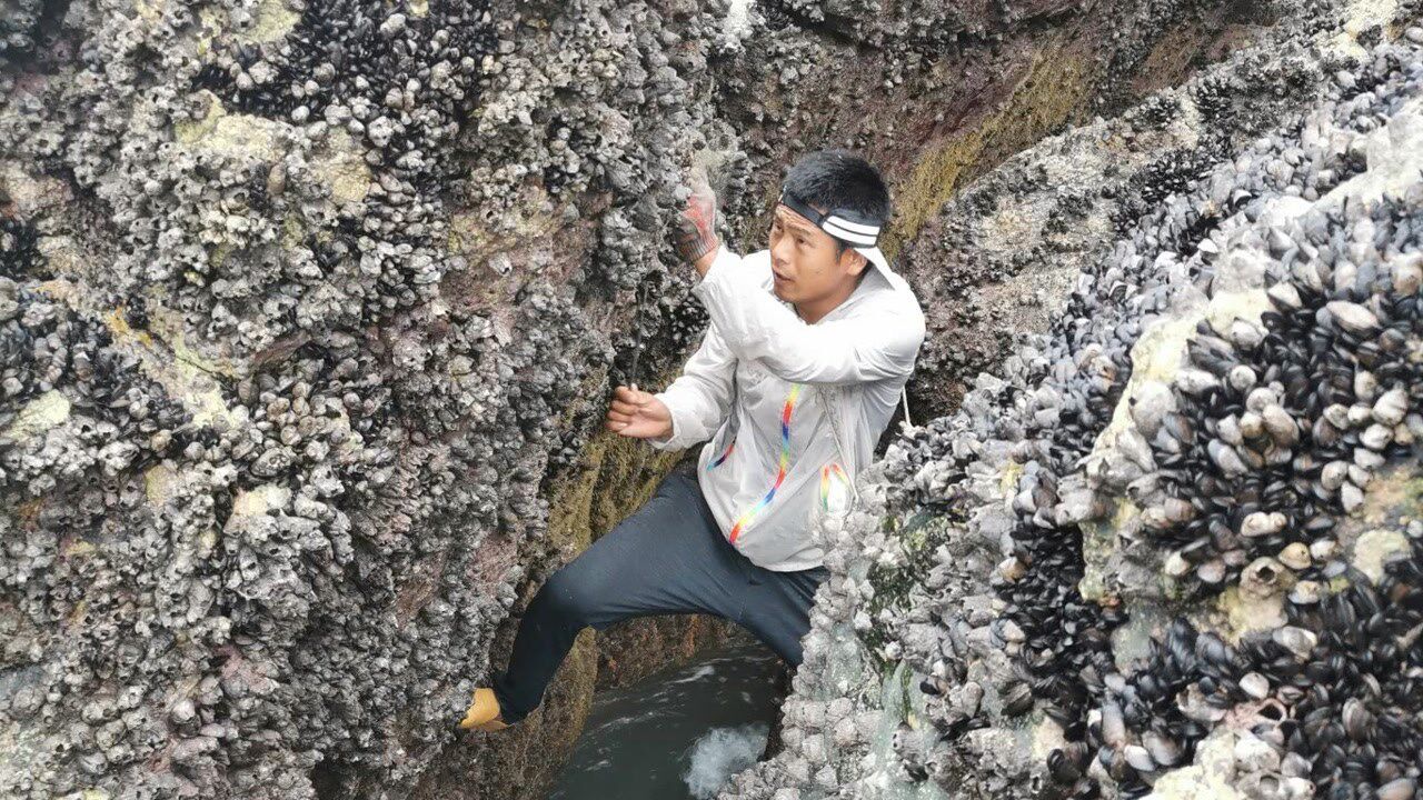 阿甘去无人岛赶海资源太丰富了一下子就爆满了