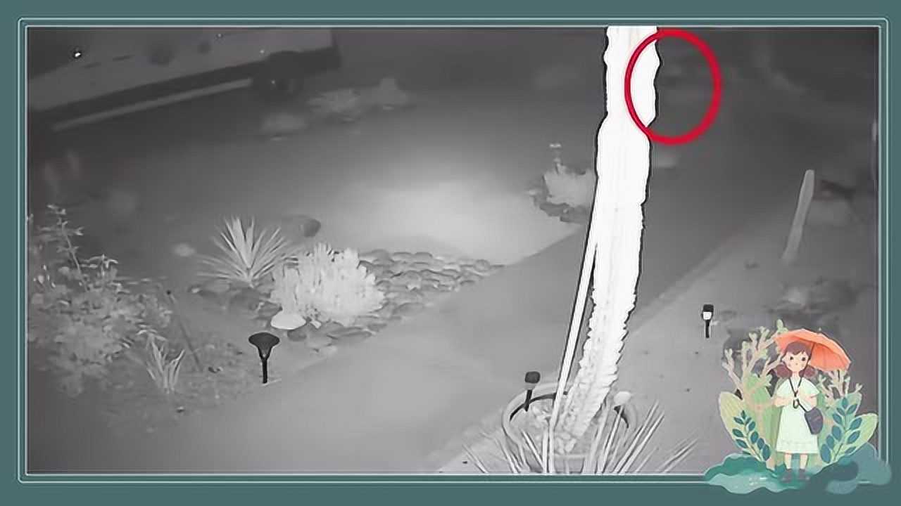 监控灵异事件监控实拍到半夜鬼魂在街头上游荡真恐怖