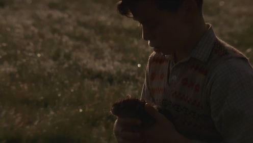 迷墙-16：小男孩在野外捡到了一只可爱的小生命，把它带回了家