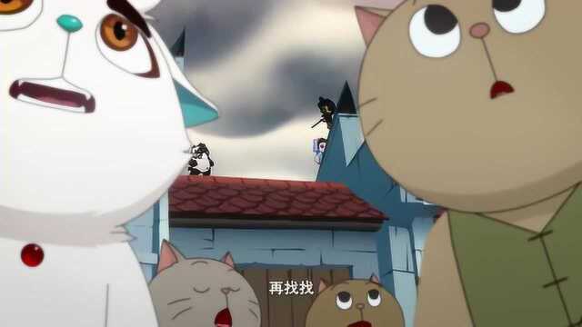 京剧猫:琥珀色的眼睛,让猫看一眼就容易充满希望