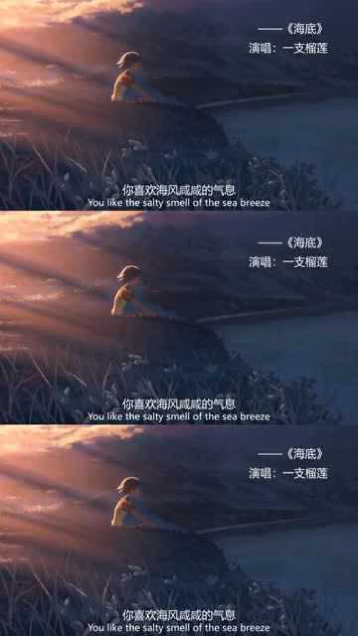 你喜欢海风咸咸的气息,踩着湿湿的沙粒
