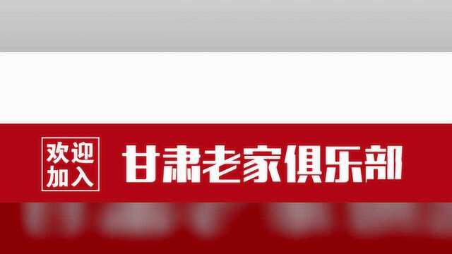 直击!甘肃一高铁站一幕!千里奔袭,抓回25人