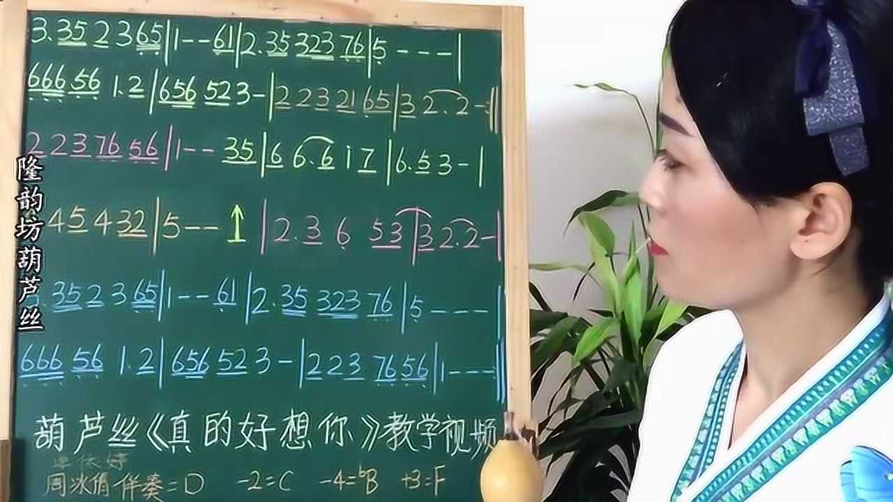 学葫芦丝轻松入门葫芦丝入门学习真的好想你七孔降b调示范