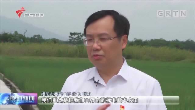 书记市长谈乡村振兴 揭阳:以产业发展带动富民兴村