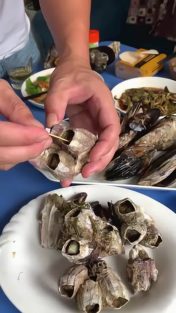 藤壶还能吃,这东西不是有毒吗,不怕吃死人吗?