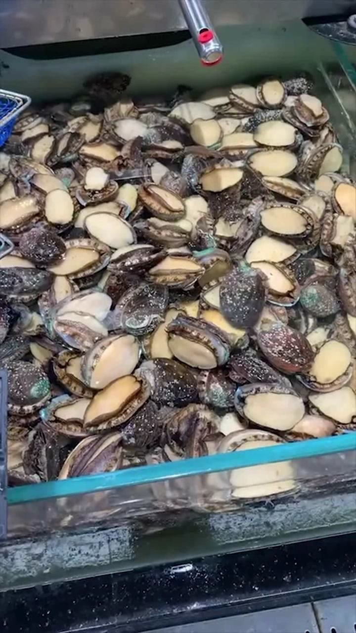 小时候以为鲍鱼很贵,今天在超市看到价格我愣了,原来我也可以吃得起